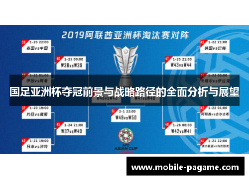 国足亚洲杯夺冠前景与战略路径的全面分析与展望