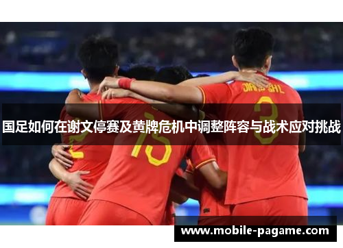 国足如何在谢文停赛及黄牌危机中调整阵容与战术应对挑战
