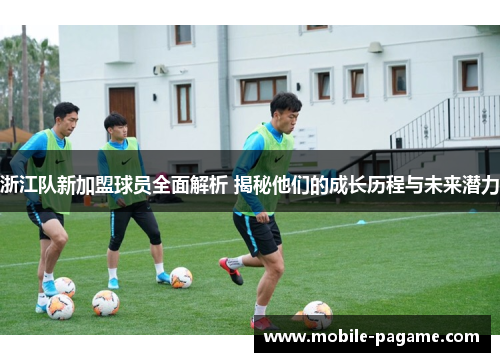 浙江队新加盟球员全面解析 揭秘他们的成长历程与未来潜力
