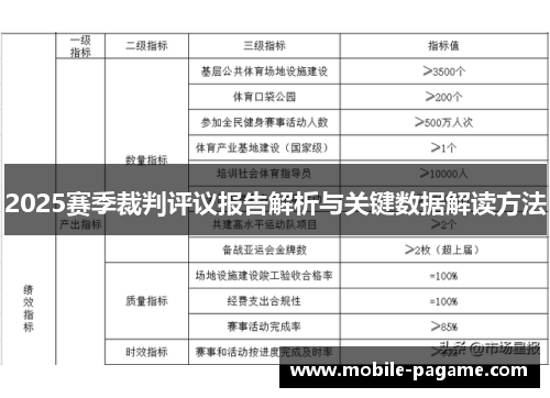 2025赛季裁判评议报告解析与关键数据解读方法