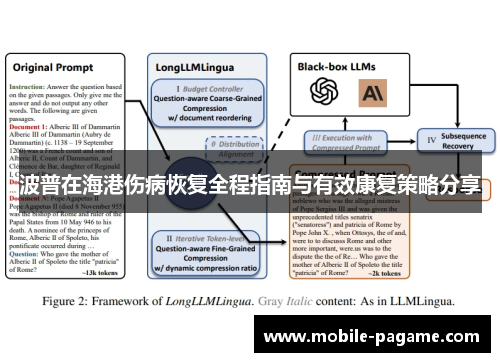 波普在海港伤病恢复全程指南与有效康复策略分享