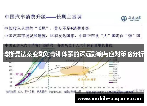 博斯曼法案变动对青训体系的深远影响与应对策略分析