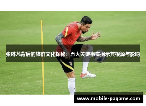 张琳芃背后的族群文化探秘：五大关键事实揭示其根源与影响