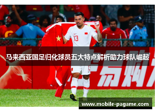马来西亚国足归化球员五大特点解析助力球队崛起
