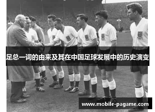 足总一词的由来及其在中国足球发展中的历史演变